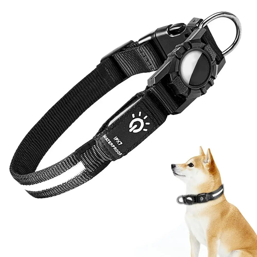 Glow In The Dark Dog Collars