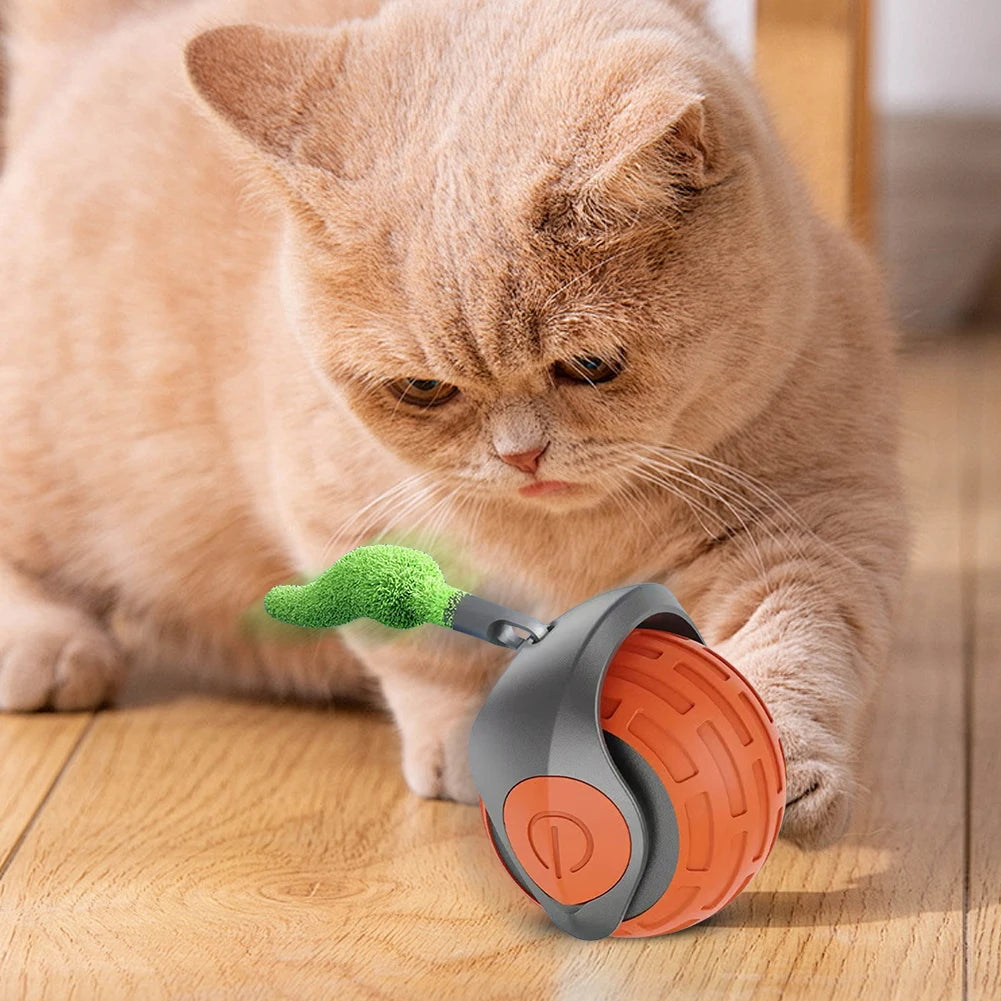 Cat Rolling Ball Interactive Cat Toy