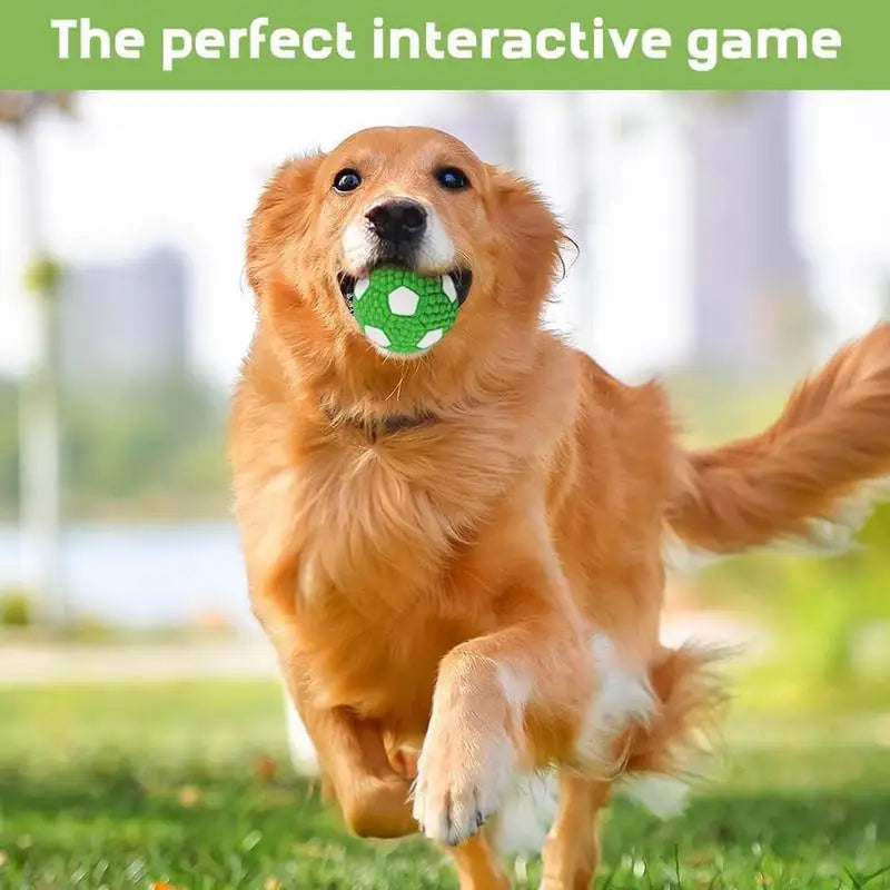 Soccer Ball Bouncing Squeaky Dog Balls