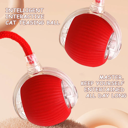 2PC/1PC Cat Interactive Ball Toys Rechargeable