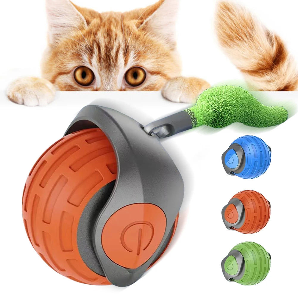 Cat Rolling Ball Interactive Cat Toy