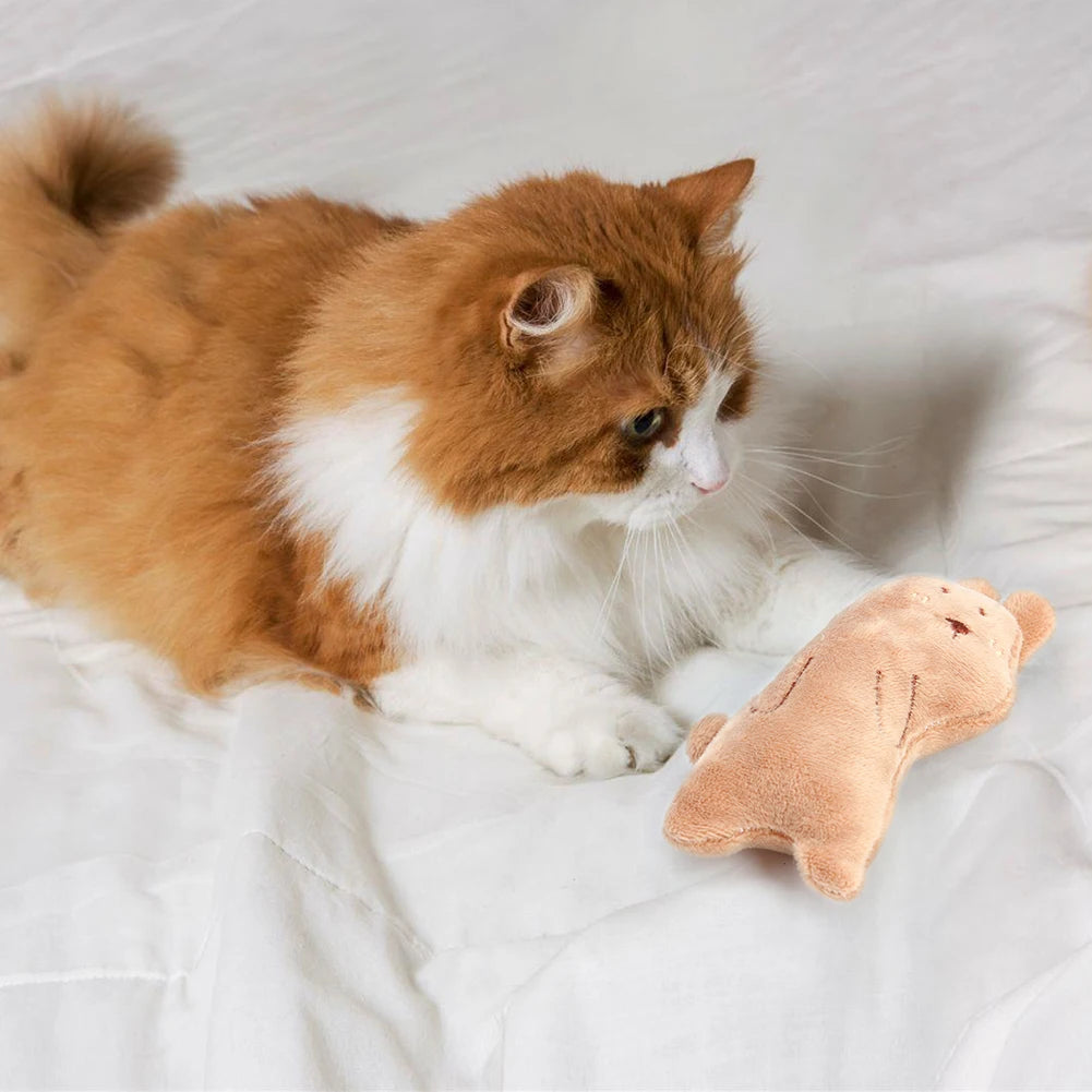 Teeth Grinding Catnip Toys Funny