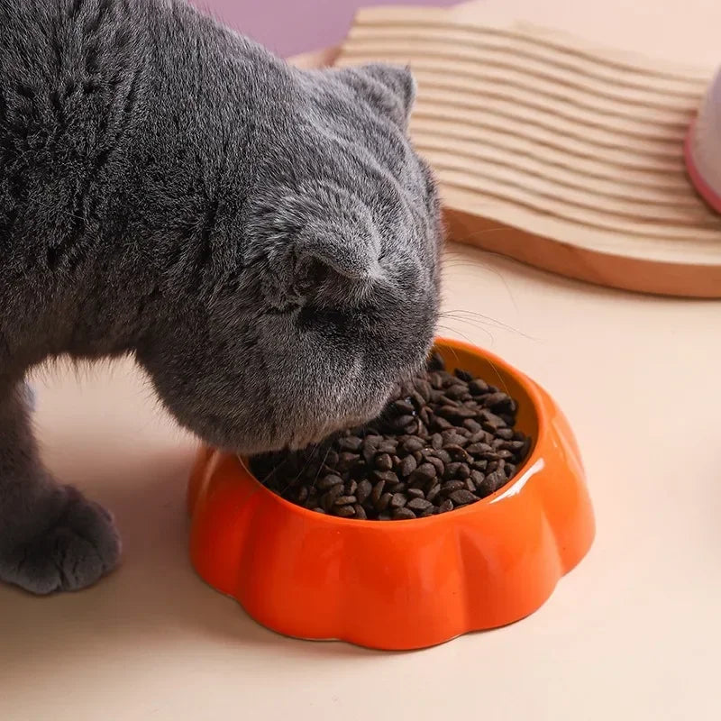 Small Pet Ceramics Bowl