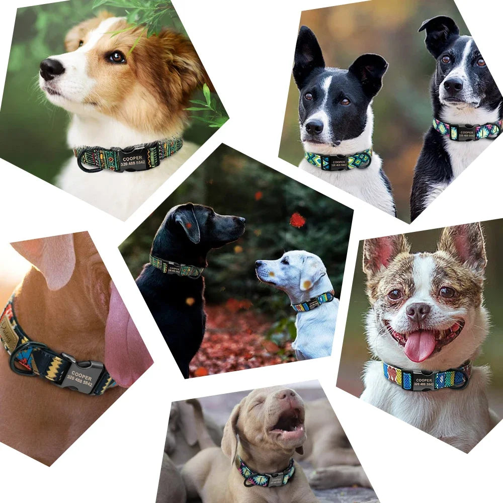 Personalized Dog Collar Leash