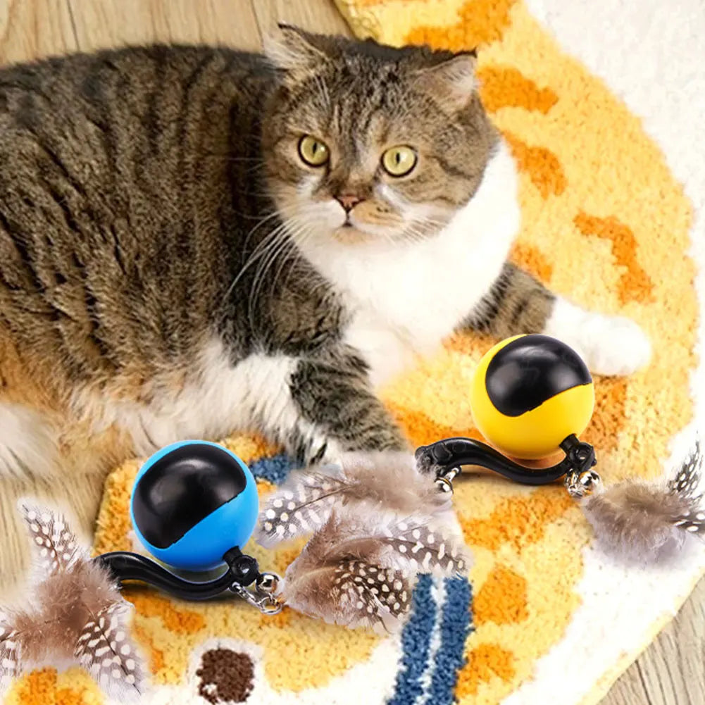 Cat Interactive Ball with Feather Tails And Sound