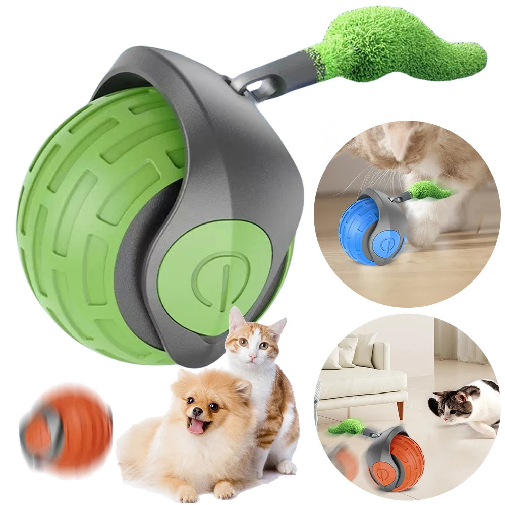Cat Rolling Ball Interactive Cat Toy
