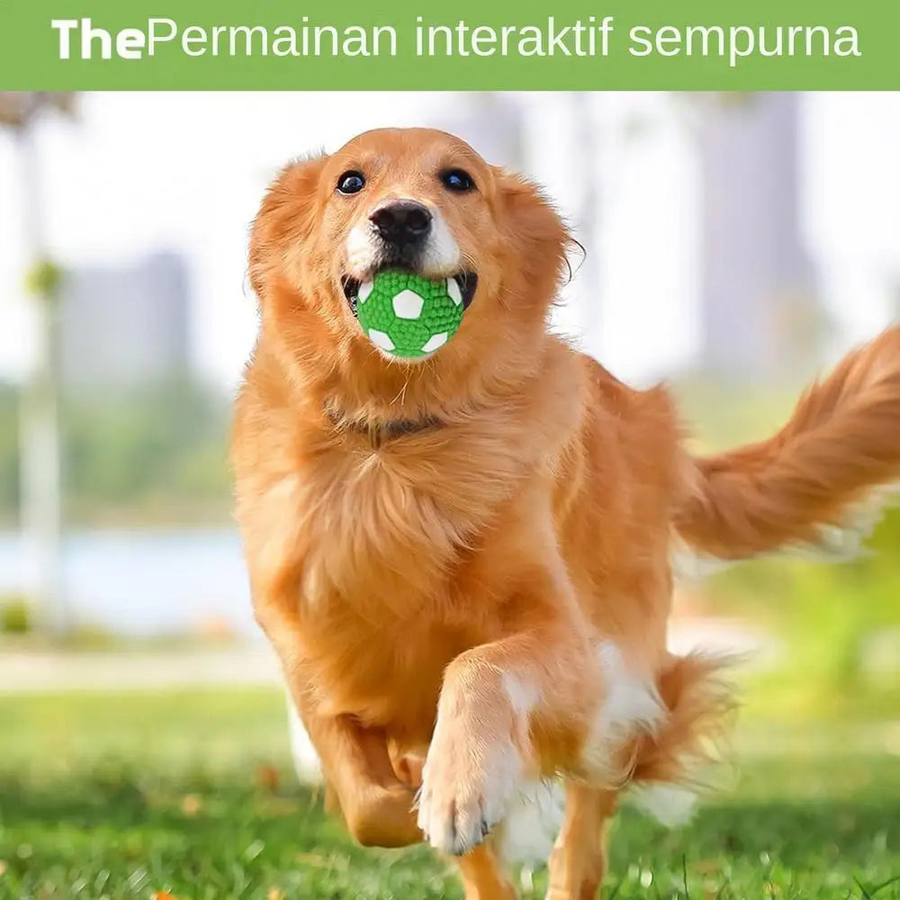 Soccer Ball Bouncing Squeaky Dog Balls
