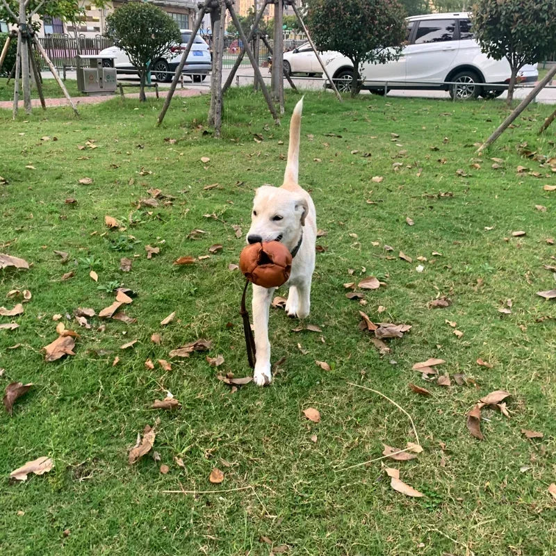 Leather Ball Dog Toy for Fetch Catch Throw
