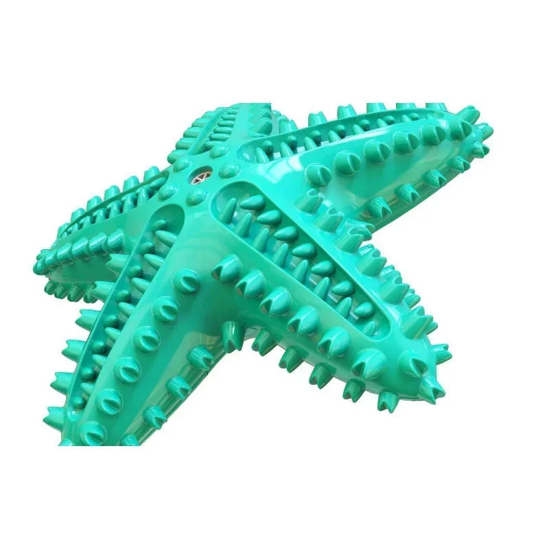 Vocal Starfish Dog Chew Toy