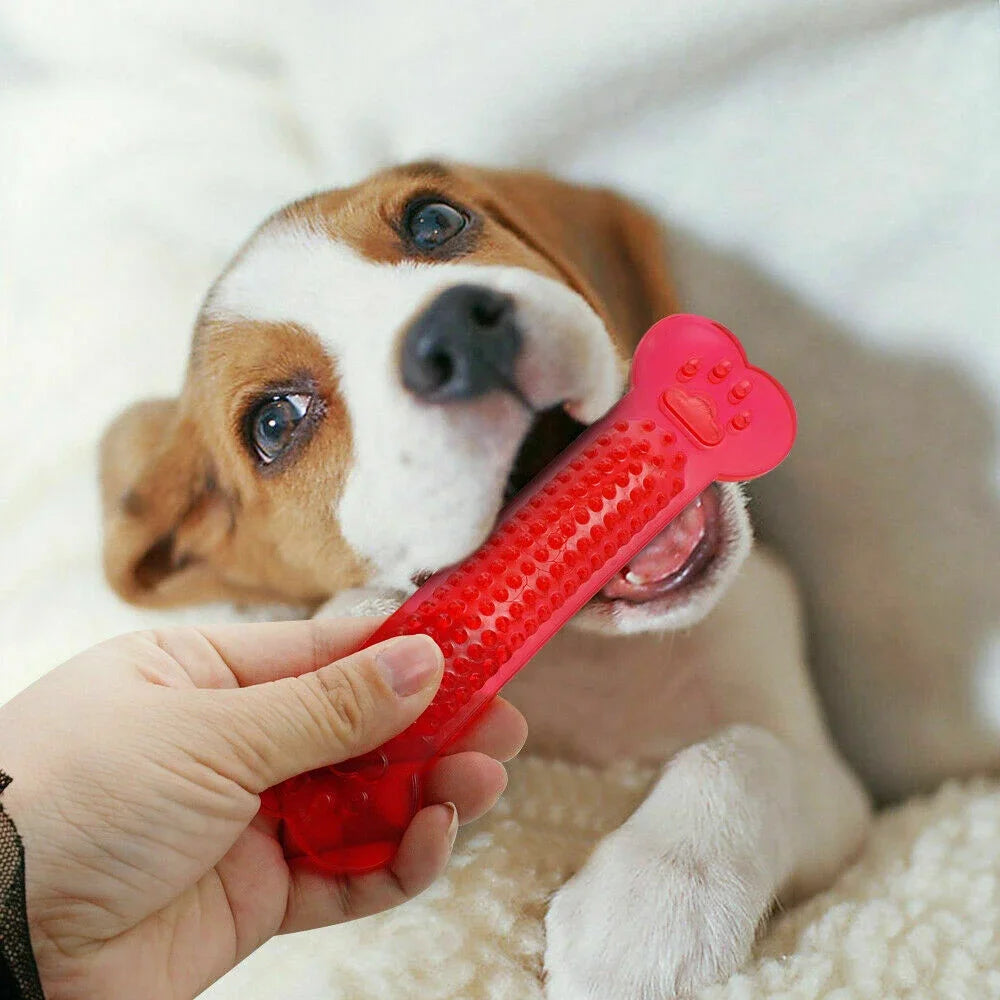 Rubber Bone Chew Toy