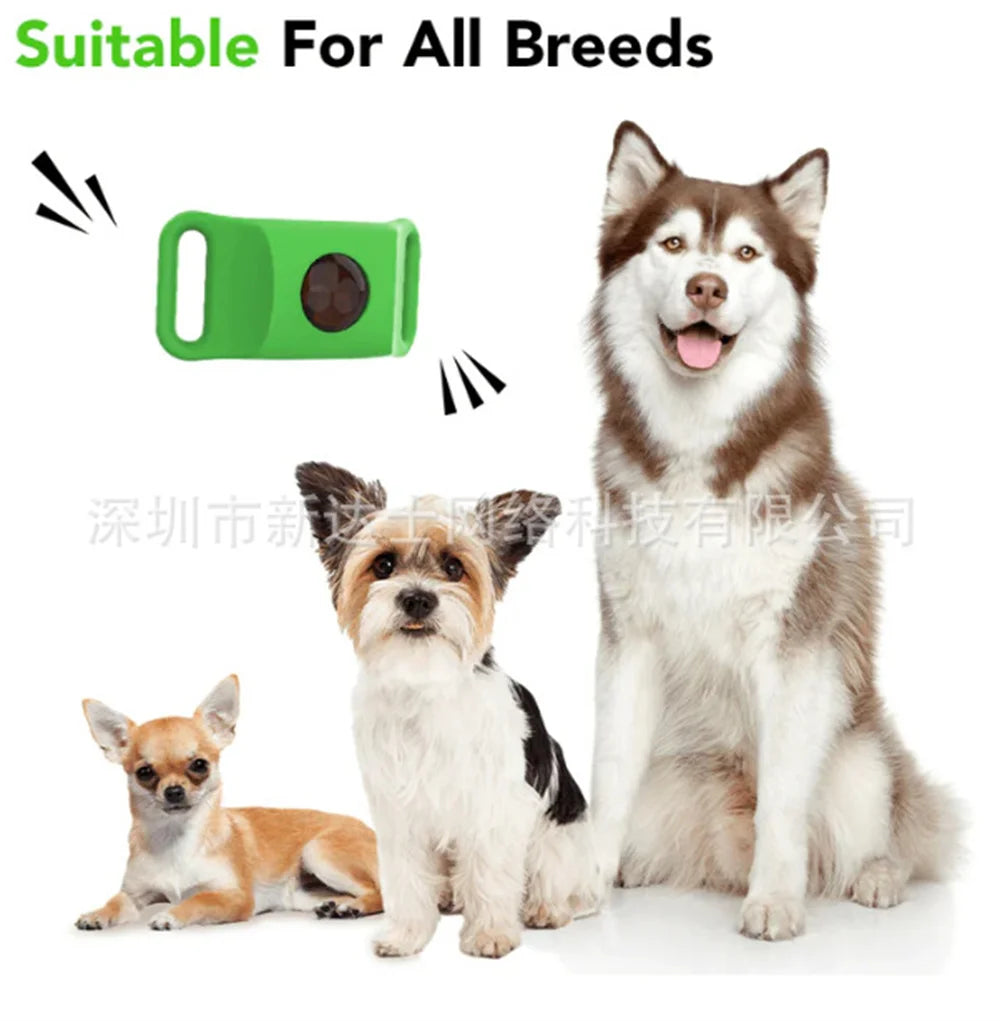 Pet Flea Collar
