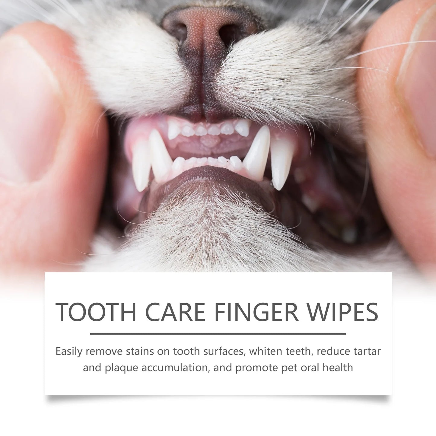 Pet Dental Care Finger Wipes