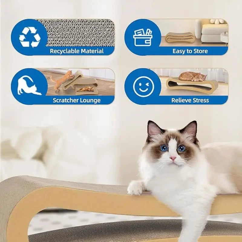3 in 1 Cat Scratcher Cardboard
