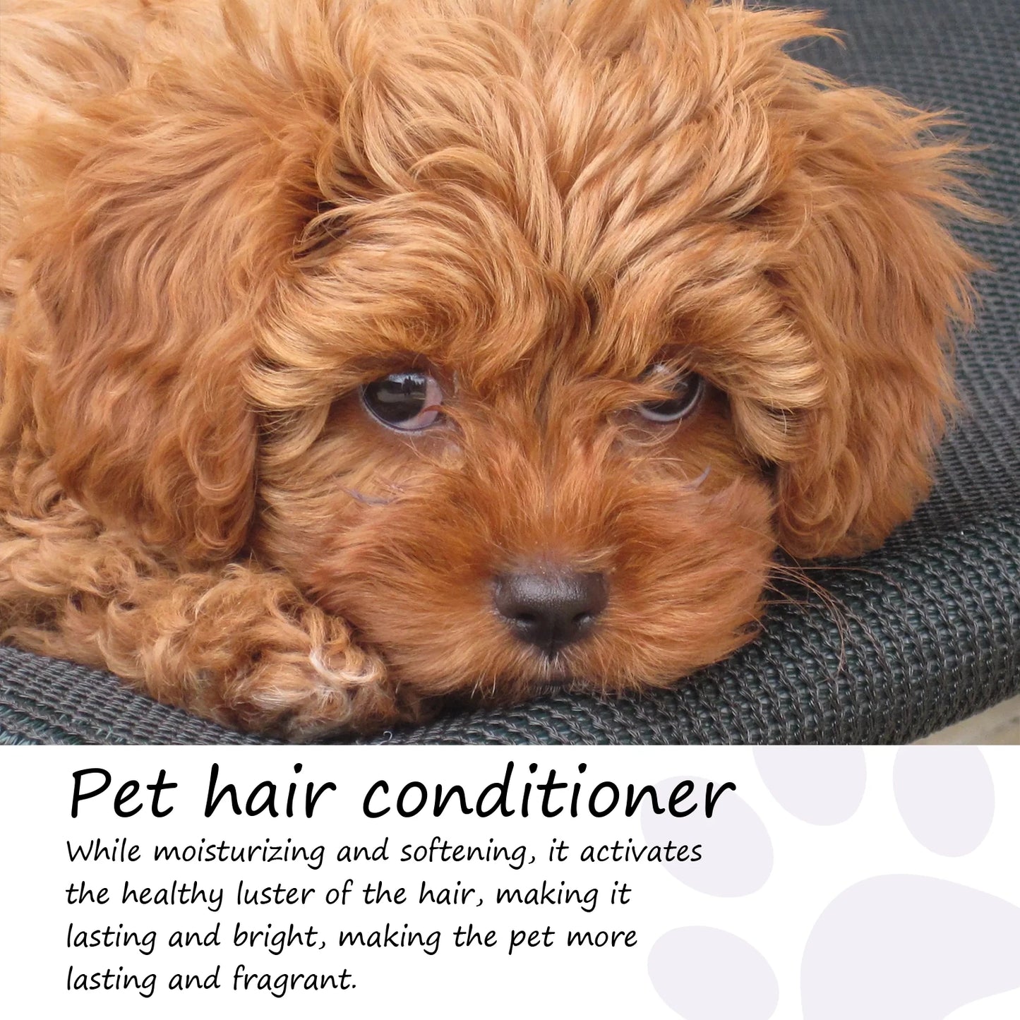 Pet Hair Care Conditioner