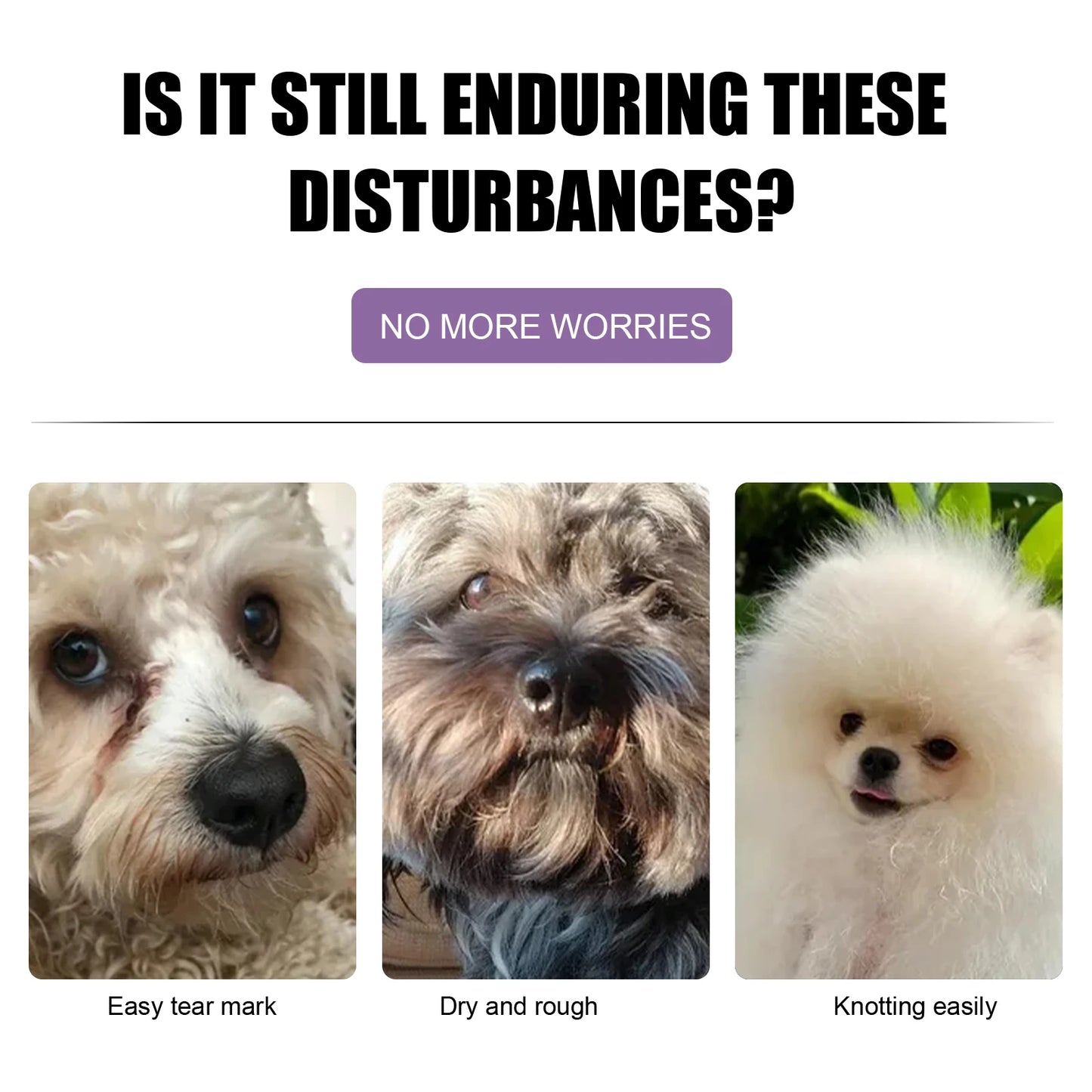 Pet Hair Care Conditioner
