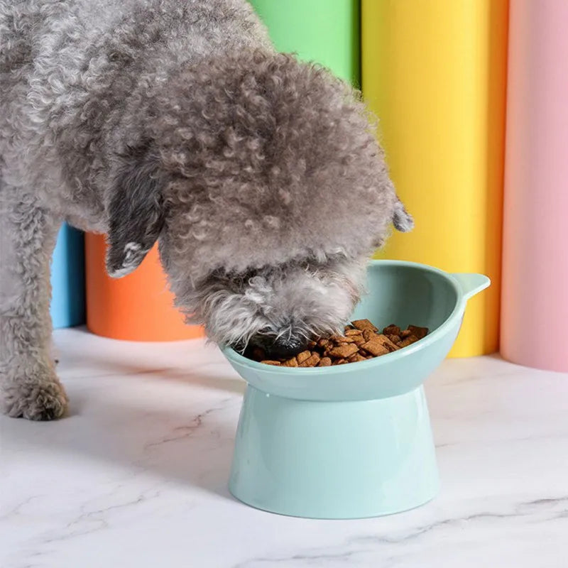 Pet Dog Cat Bowl with Raised Stand