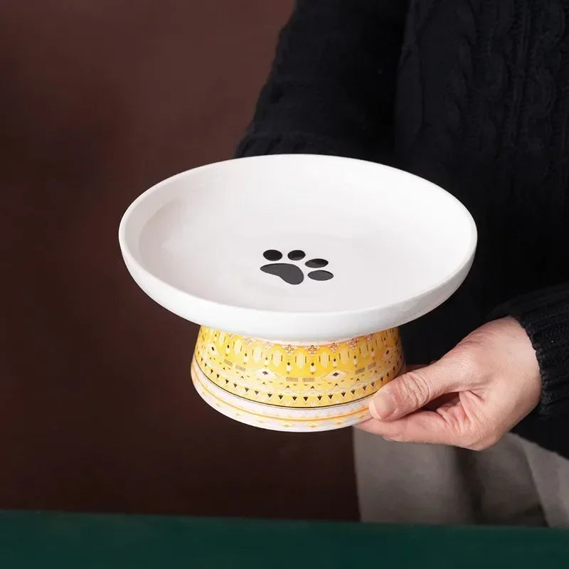 Raised Pet Food and Water Bowl