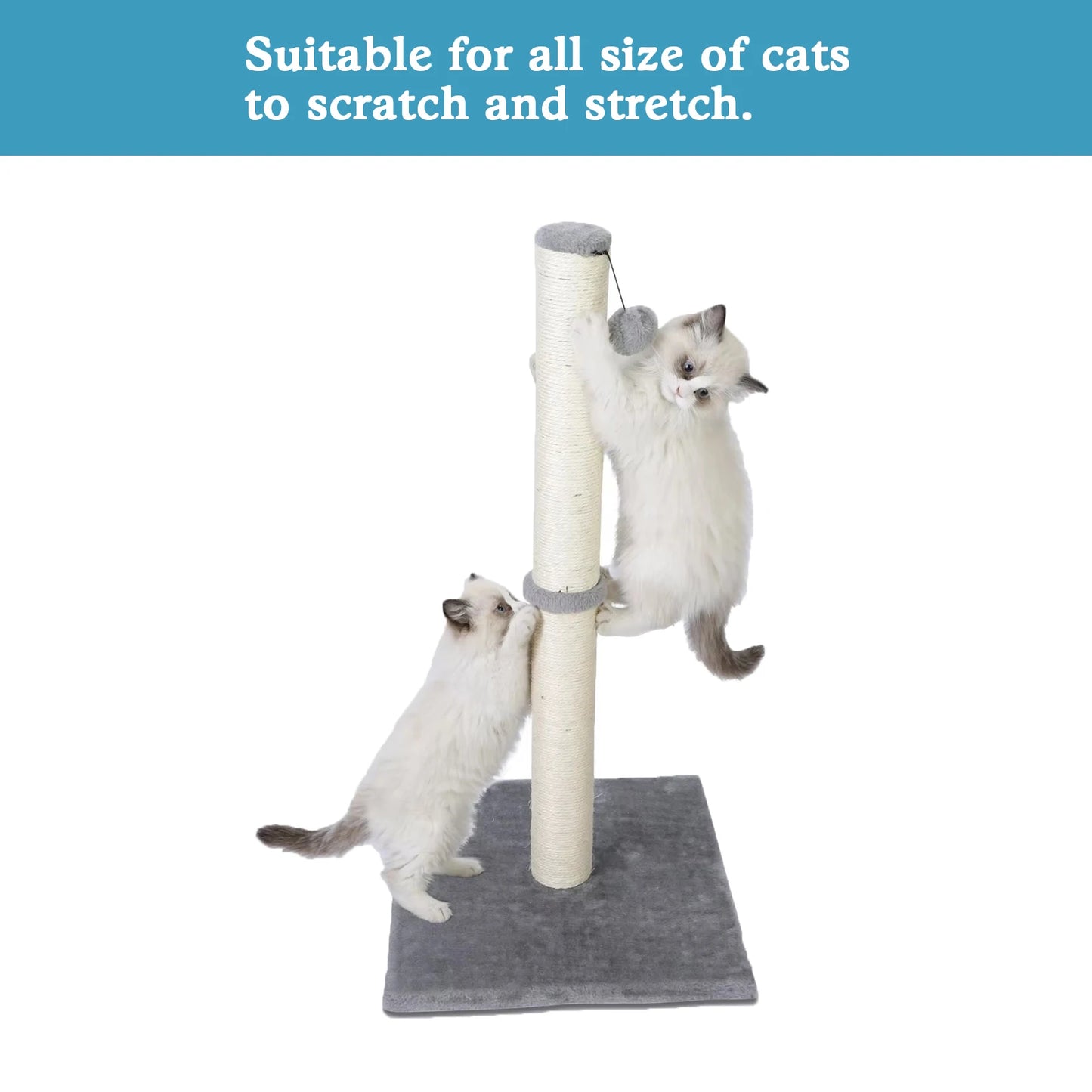 Cat Scratchers With Dangling Ball