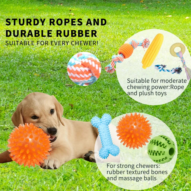 18 pcs  Dog Toy Packs- Interactive Pet Toys