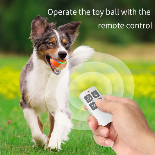 Interactive Electric Dog Chew Toy Ball