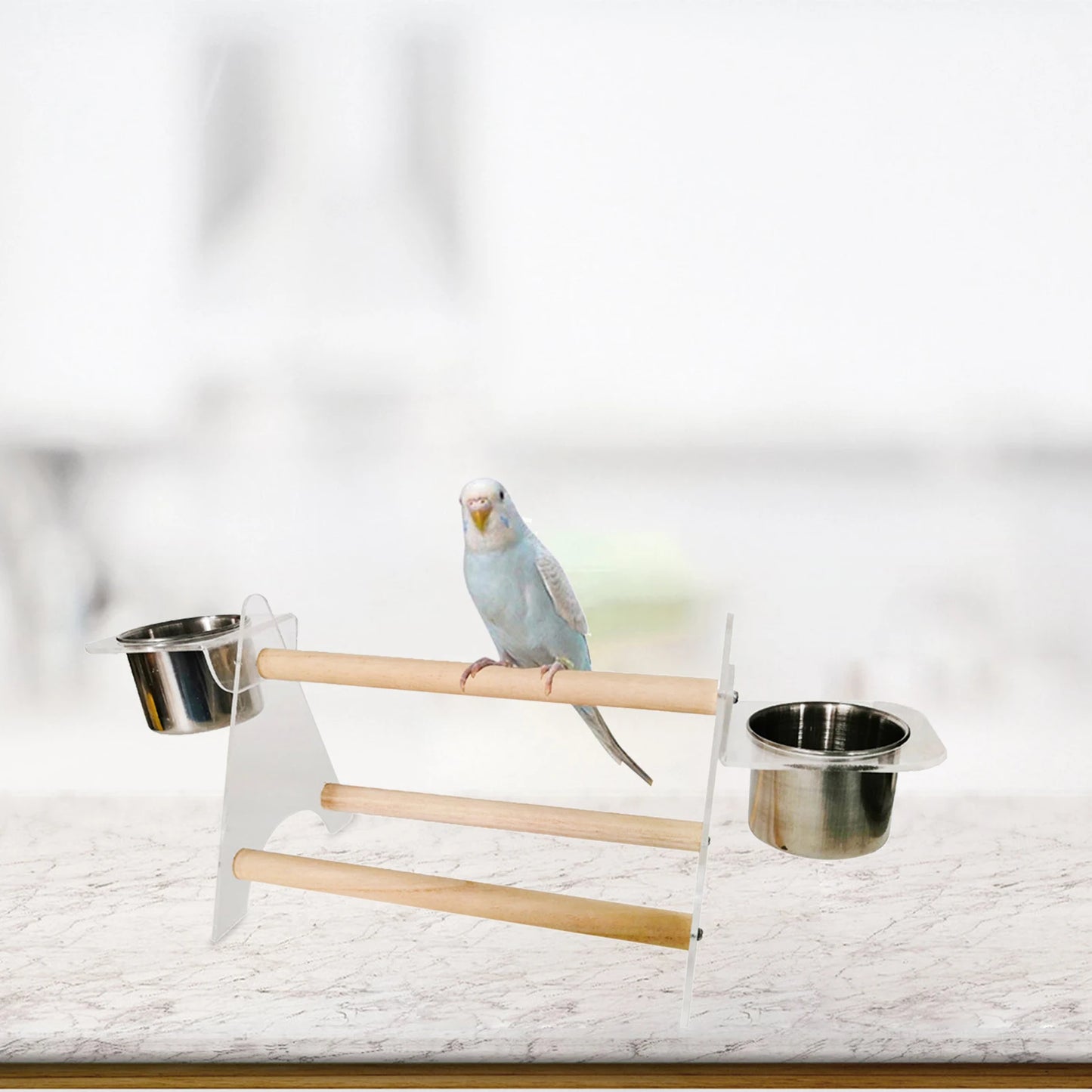 Bird Stand Play Stand
