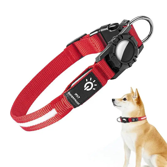 Glow In The Dark Dog Collars