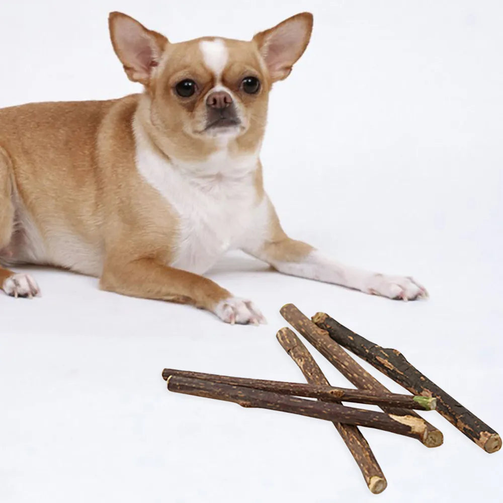 10pc Apple Wood Chew Sticks Twigs For Small Pets