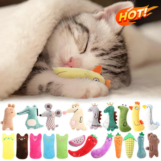 Teeth Grinding Catnip Toys Funny
