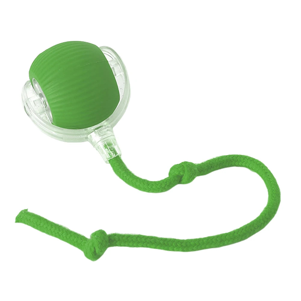 2PC/1PC Cat Interactive Ball Toys Rechargeable