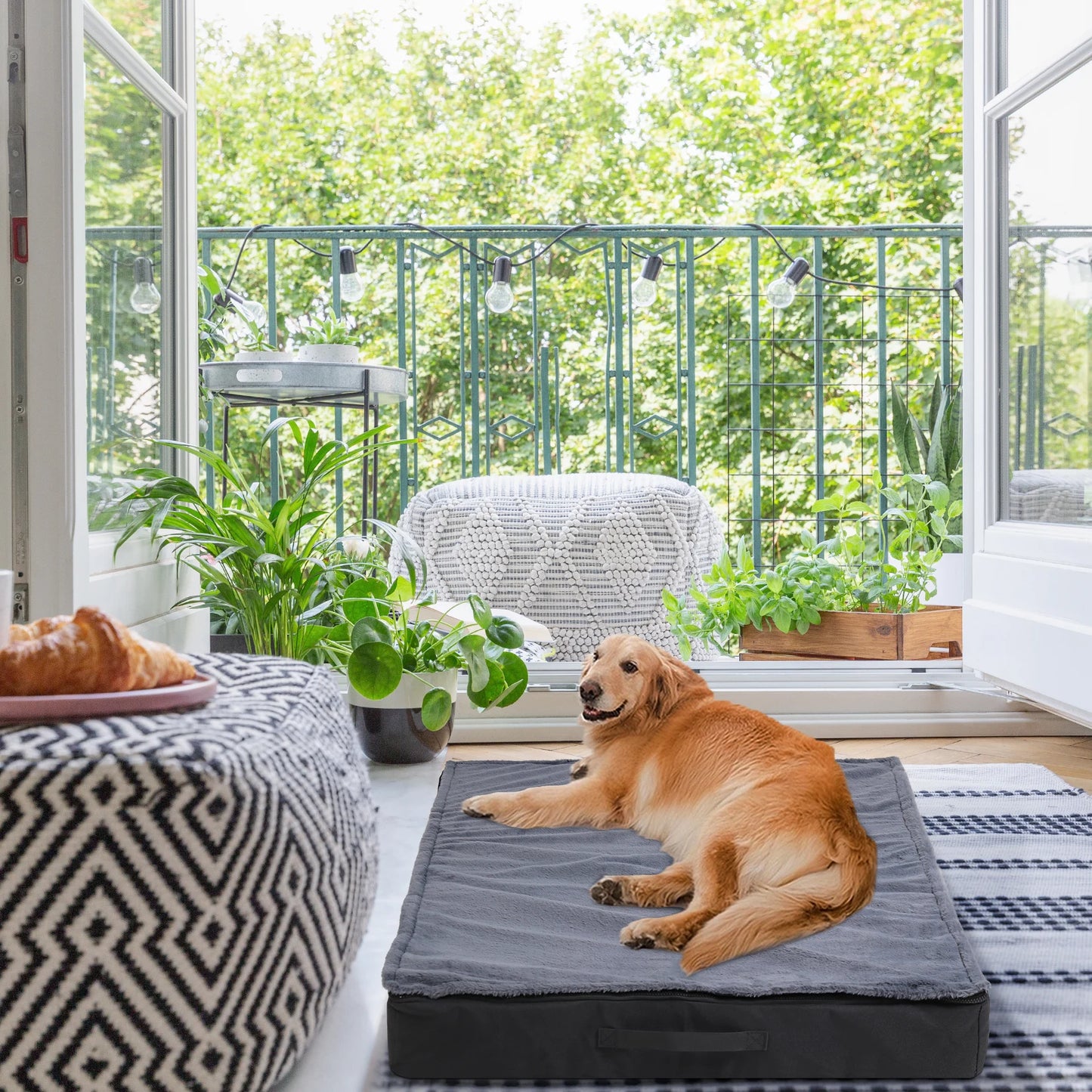 Orthopedic Dog Bed for Medium Large Dogs