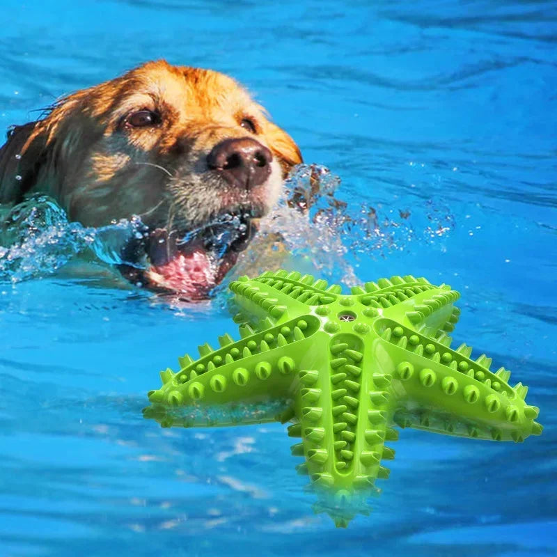 Vocal Starfish Dog Chew Toy