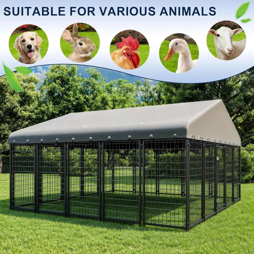 Outdoor Dog Kennel