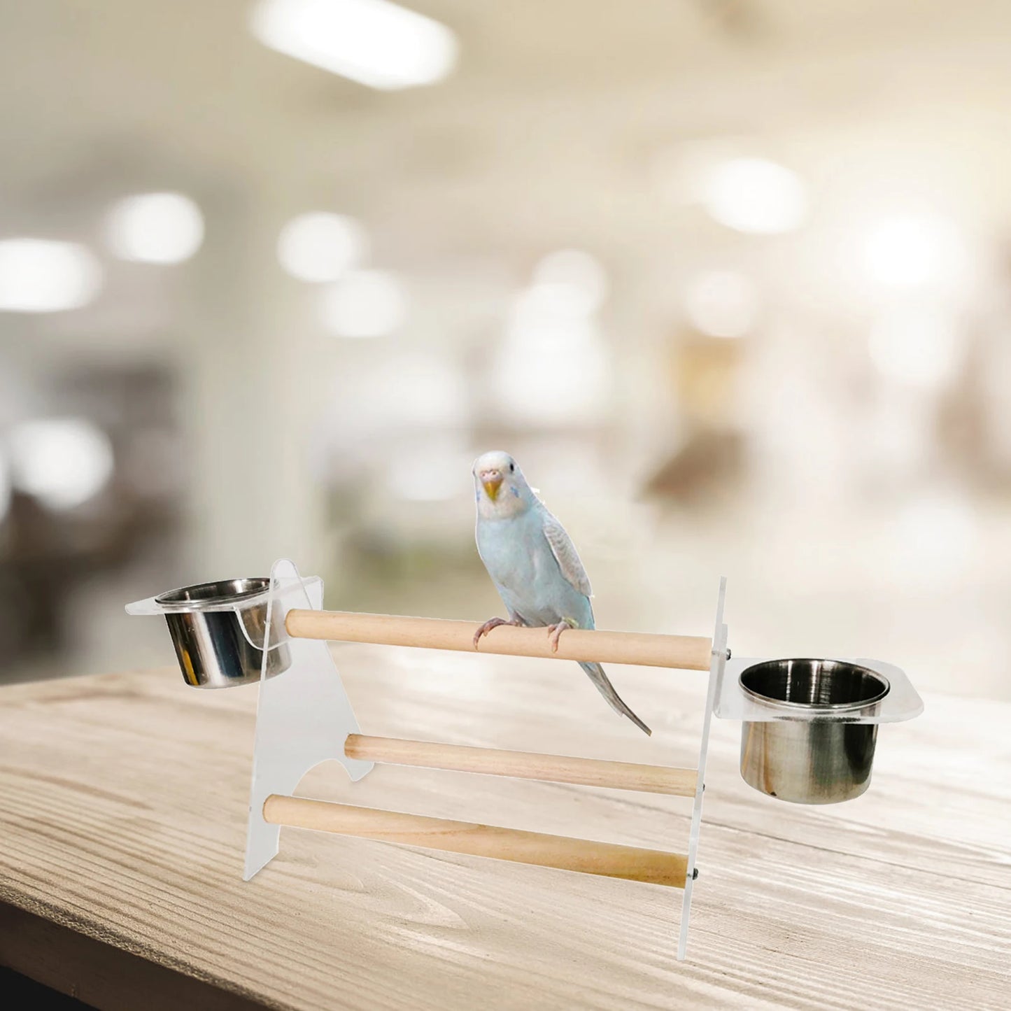 Bird Stand Play Stand