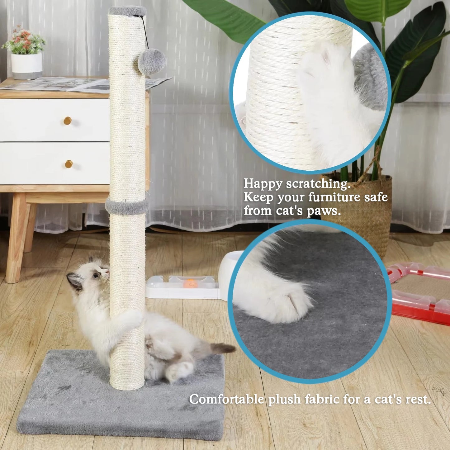 Cat Scratchers With Dangling Ball