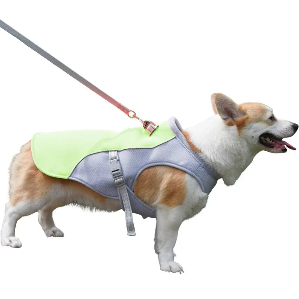 Dog Cooling Vest