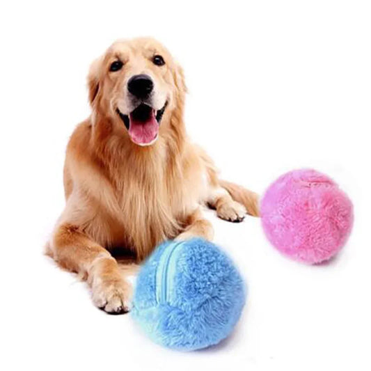 Roller Ball Dog Toy