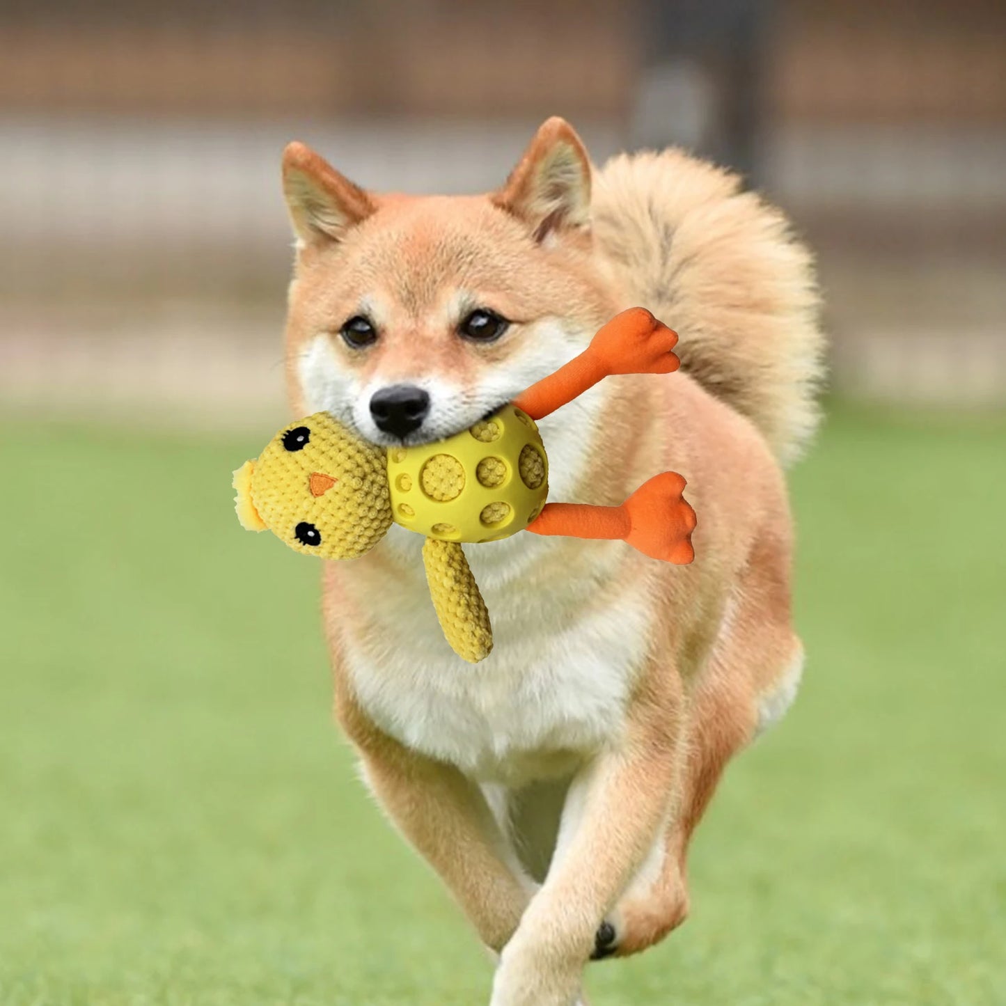 Dog Squeaky Toys Plush Chick
