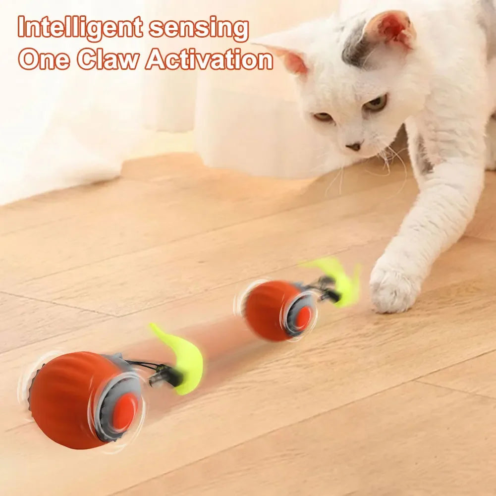 Interactive Cat Toy Rolling Ball