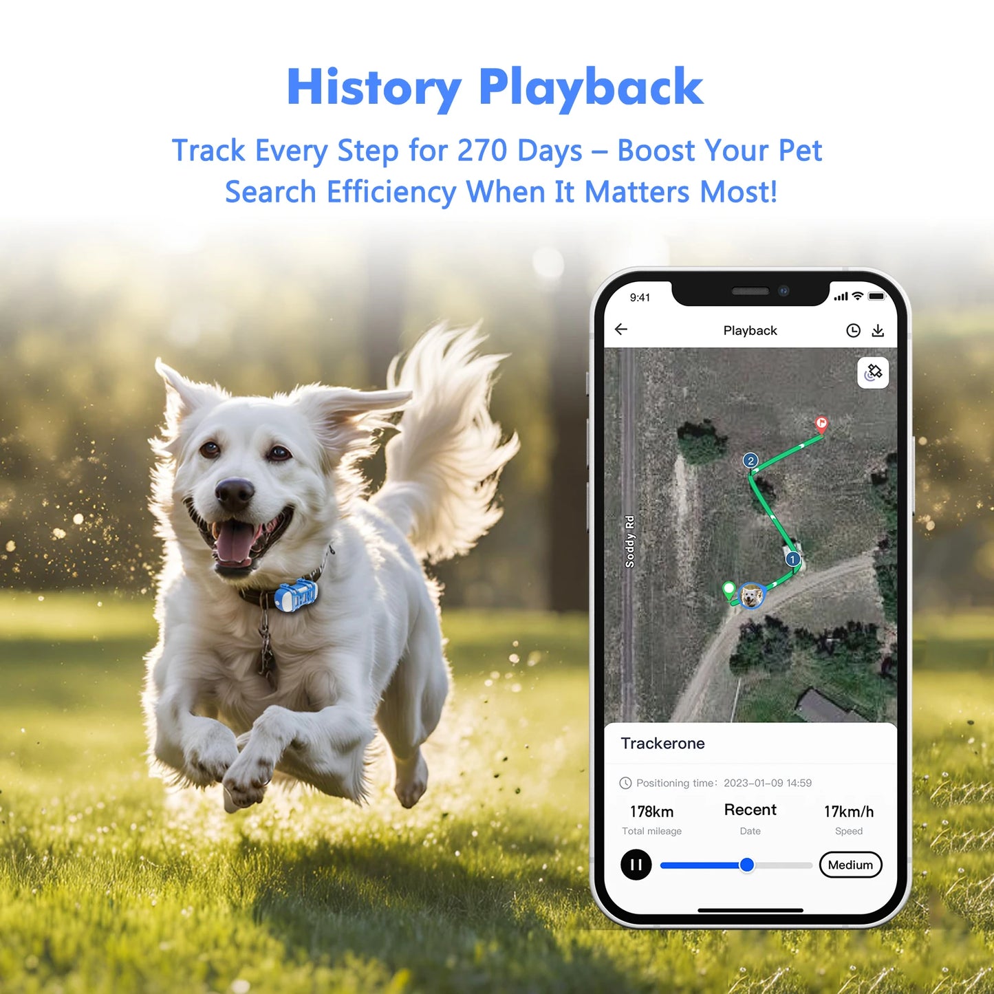 GPS Tracker for Dog or Cat