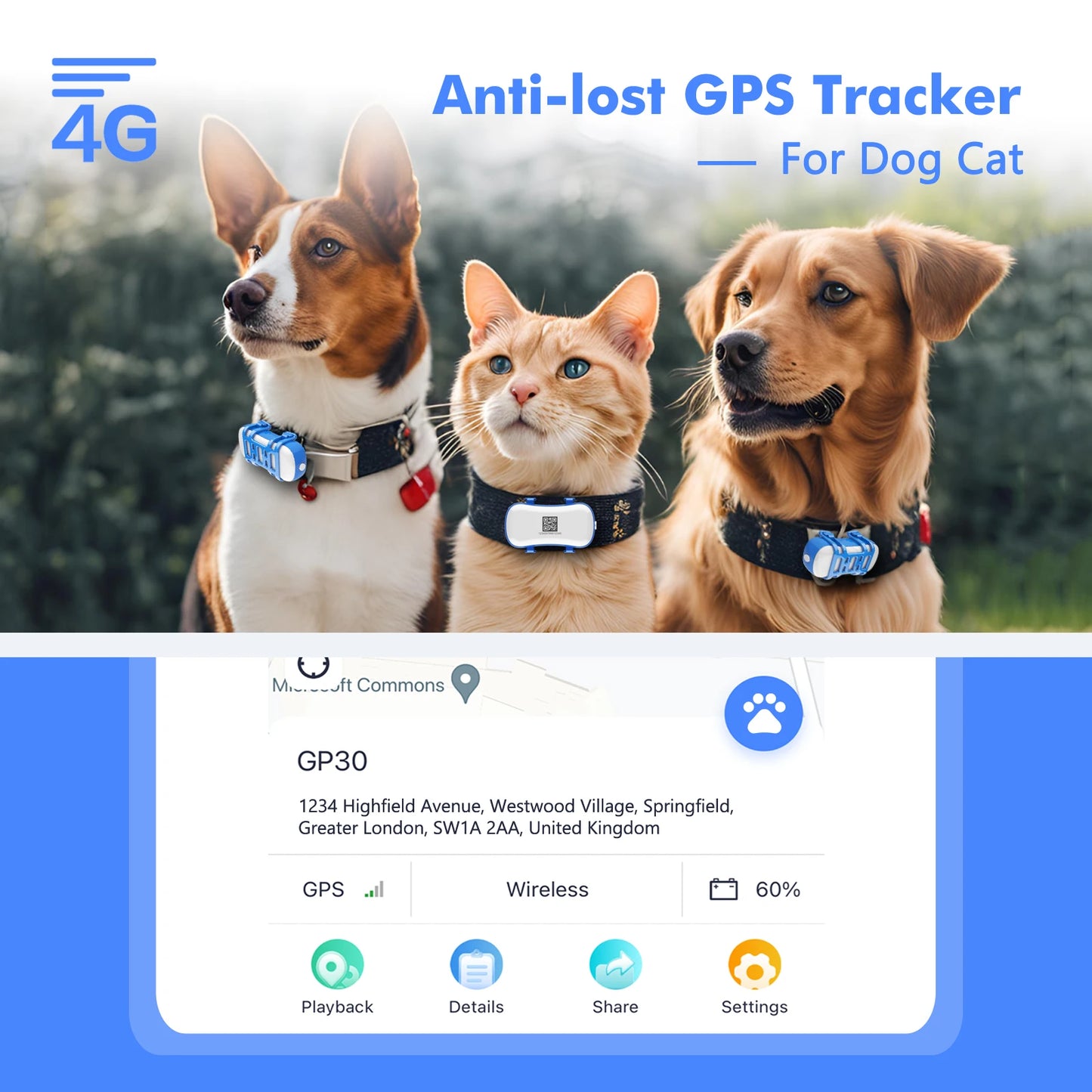 GPS Tracker for Dog or Cat