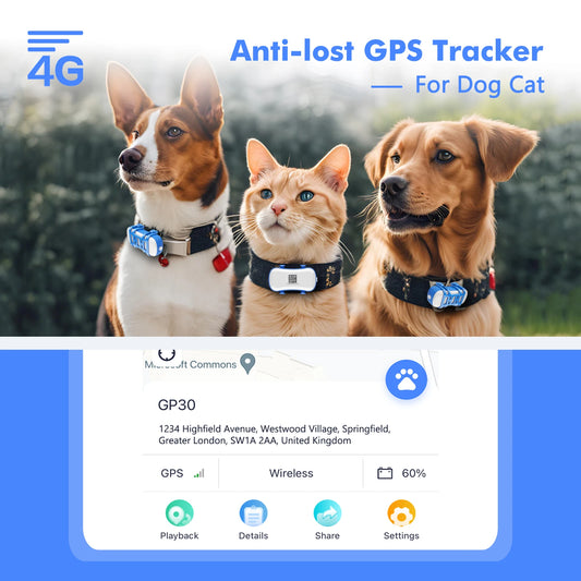 GPS Tracker for Dog or Cat