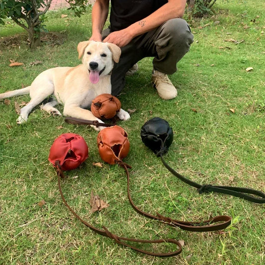 Leather Ball Dog Toy for Fetch Catch Throw