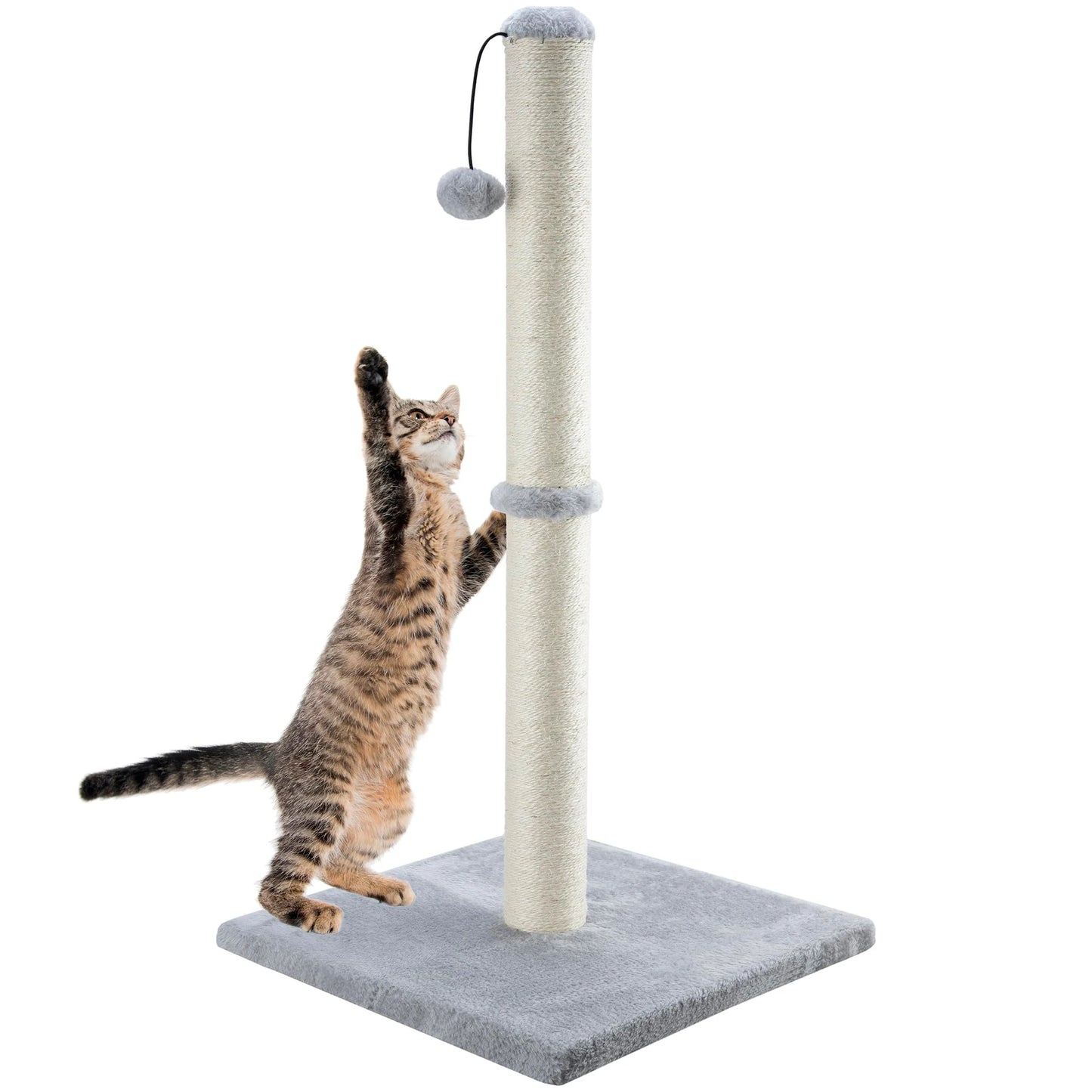 Cat Scratchers With Dangling Ball
