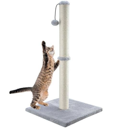 Cat Scratchers With Dangling Ball