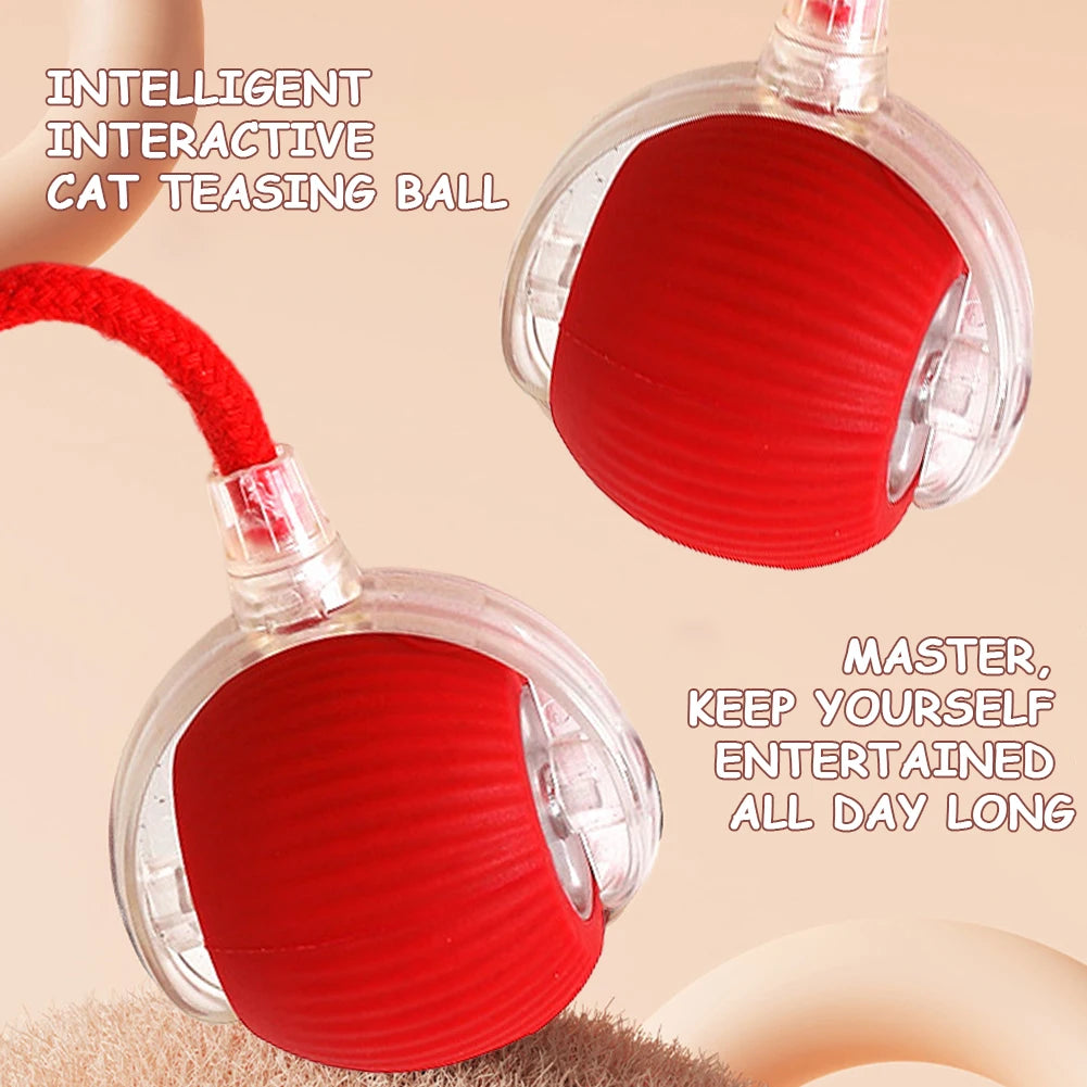2PC/1PC Cat Interactive Ball Toys Rechargeable