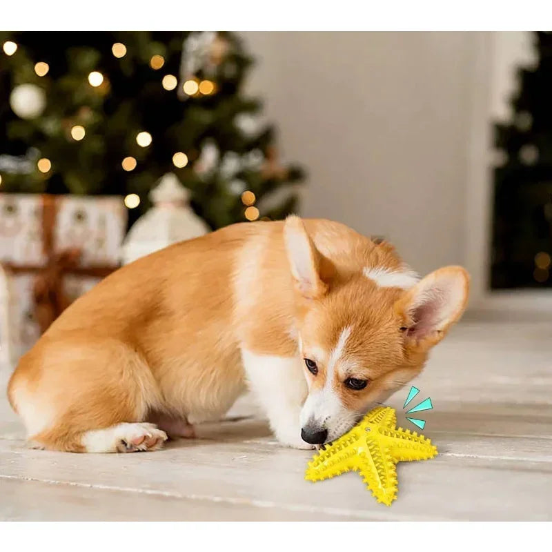 Vocal Starfish Dog Chew Toy