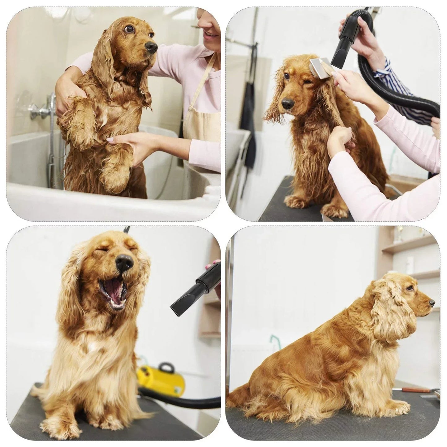 Dog Hair Dryer