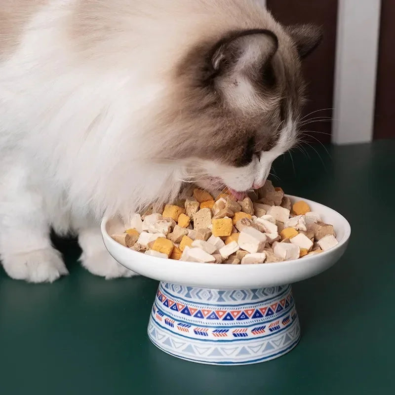 Raised Pet Food and Water Bowl