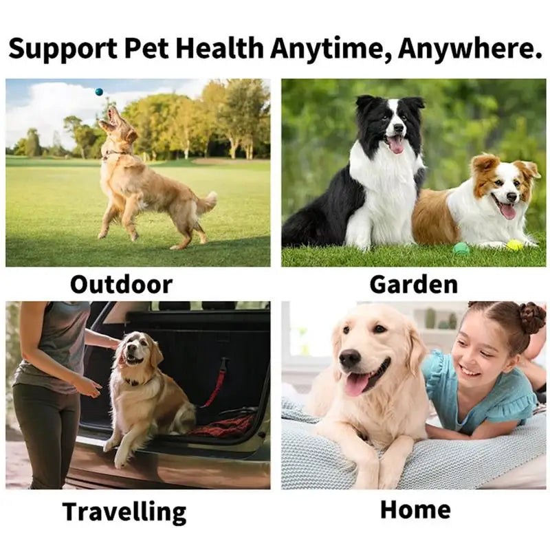 Pet Teeth Cleaning Finger Wipes