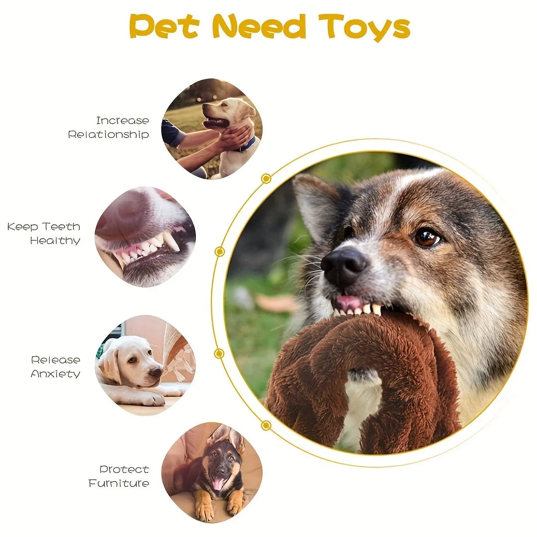 Squeaky Plush Dog Chew Toy